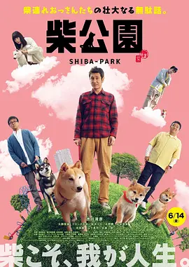 黄av网站