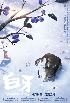 亚洲综合20p