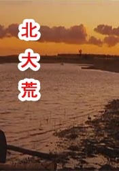 91短视频版官网