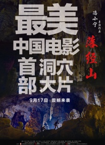 成人在线免费观看