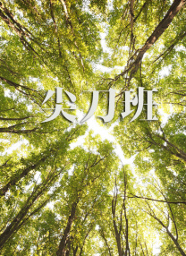 欧美一区二区日韩一区二区