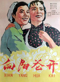 老师你的兔子好大好软
