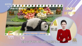麻豆传媒吴梦梦